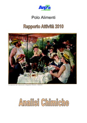 Relazione chimiche 2010