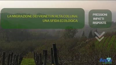 LA MIGRAZIONE DEI VIGNETI IN ALTA COLLINA: UNA SFIDA ECOLOGICA ...