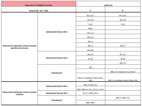 Depuratore Castiglione Torinese (TO)