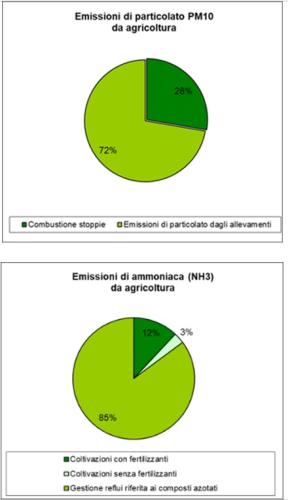 Dettaglio per le emissioni di PM10 e NH3 (IREA- Inventario Regionale Emissioni)