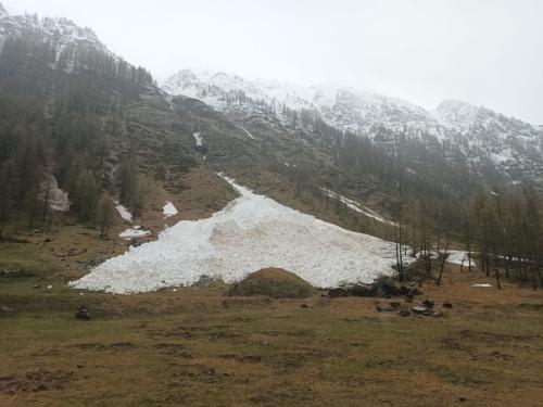 Accumulo di valanga nel fondovalle del Vallone del Azaria alta Valle Soana 02.05.24 (Foto D.Rigaldo PNGP)