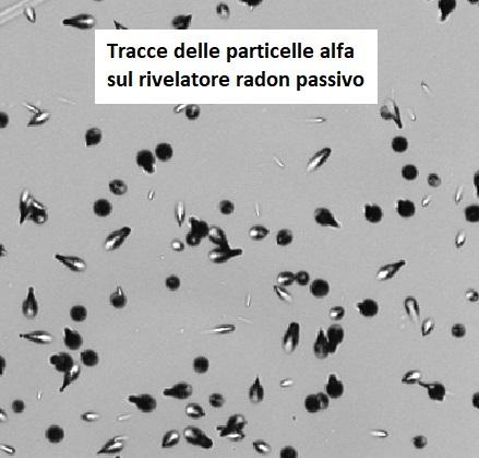 Tracce delle particelle alfa sul rivelatore radon passivo
