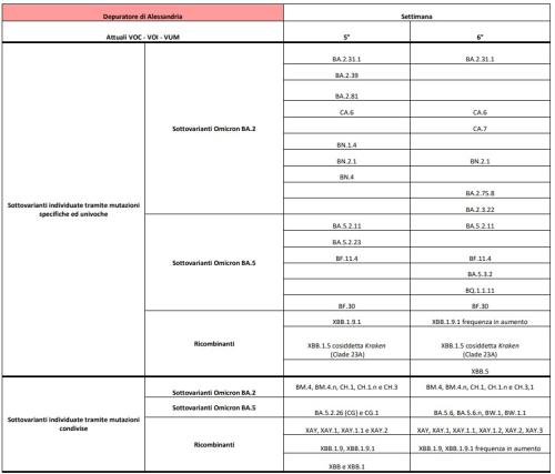 Depuratore di Alessandria