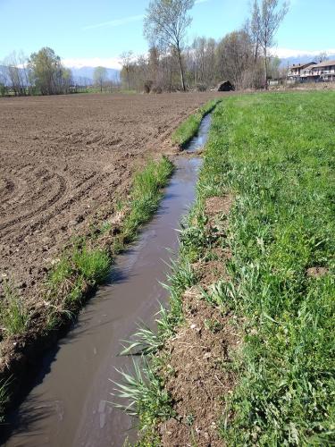 Villafranca Piemonte: moria di pesci in un allevamento ittico