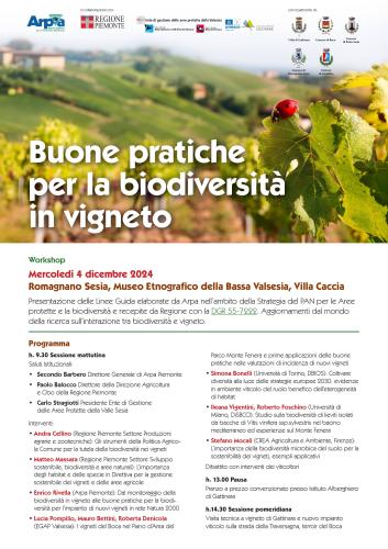 Buone pratiche per la biodiversità in vigneto
