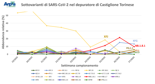 Sottovarianti di Omicron e loro abbondanza relativa per il depuratore di Castiglione Torinese a maggio e giugno 2025