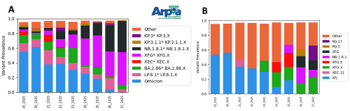 Sottovarianti di Omicron e loro abbondanza relativa per il depuratore di Castiglione Torinese a maggio e giugno 2025. A) Grafico a barre dei sotto-lignaggi raggruppati per macro-lignaggio. B) Grafico a barre delle specifiche sottovarianti