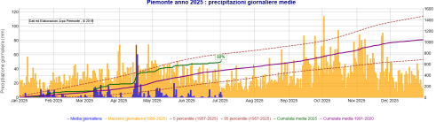 Precipitazione media giornaliera da inizio 2024 sul bacino del Po chiuso alla confluenza col Ticino