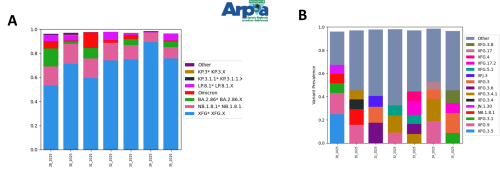 Sottovarianti di Omicron e loro abbondanza relativa per il depuratore di Castiglione Torinese a luglio e agosto 2025. A) Grafico a barre dei sotto-lignaggi raggruppati per macro-lignaggio. B) Grafico a barre delle specifiche sottovarianti
