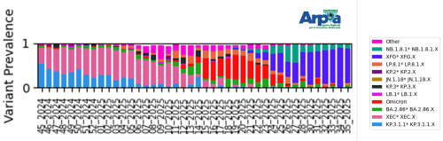 Abbondanza relativa dei macro-lignaggi per il depuratore di Castiglione Torinese da settembre 2024 ad agosto 2025