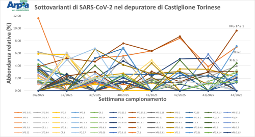 Sottovarianti di Omicron e loro abbondanza relativa per il depuratore di Castiglione Torinese a settembre ed ottobre 2025