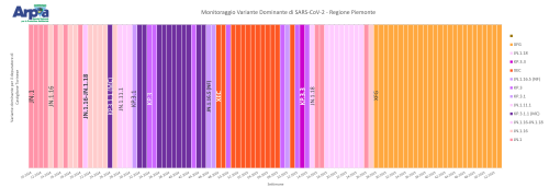 Varianti di SARS-CoV-2 dominanti a Castiglione Torinese fino a dicembre 2025