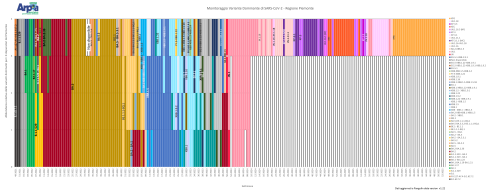 Andamento delle varianti di SARS-CoV-2 dominanti in Piemonte fino a dicembre 2025