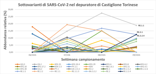 Sottovarianti di Omicron e la loro abbondanza relativa per il depuratore di Castiglione Torinese a febbraio 2026