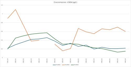 ANDAMENTO DI CC6O4 NEI PIEZOMETRI P5 AMAG, P2 AMAG, P8 AMAG (2021–2025)
