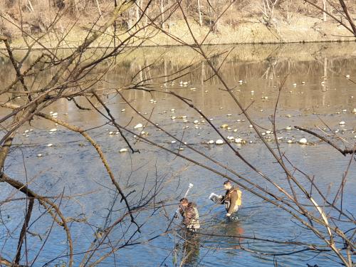 Monitoraggio di specie e habitat di interesse comunitario lungo la Dora Baltea