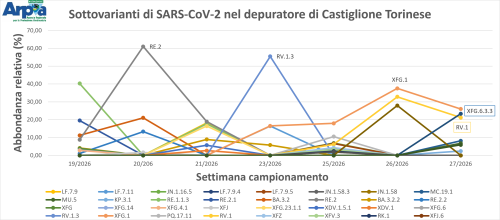 Figura 3. Sottovarianti di Omicron e la loro abbondanza relativa per il depuratore di Castiglione Torinese a maggio-giugno 2026.