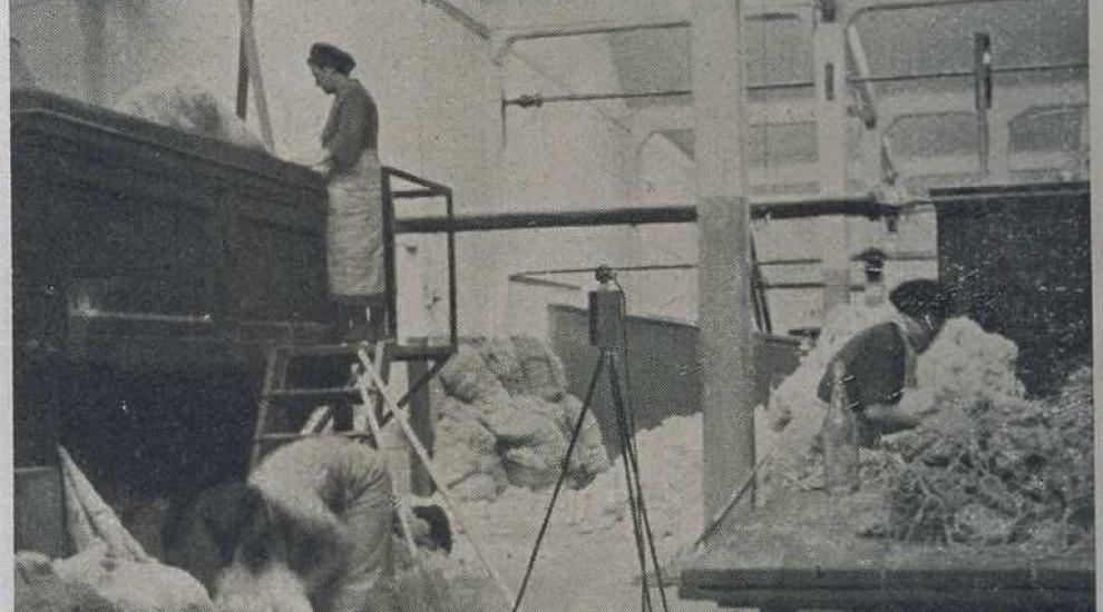 fotografie sono tratte da VIGLIANI E.C.: “Studio sulla asbestosi nelle manifatture di amianto” Ente nazionale prevenzione infortuni, Torino, 1940 