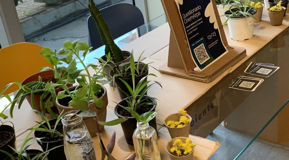 CinemArpa - Giornata internazionale delle foreste