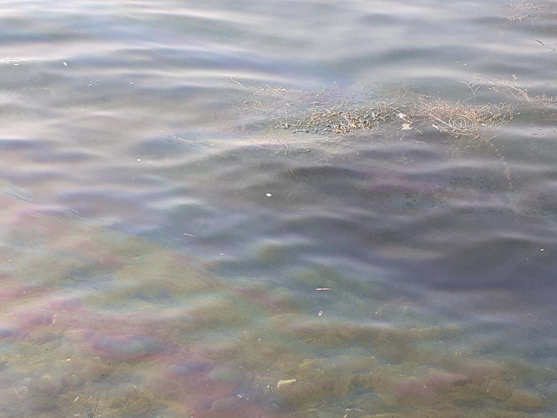 Autovettura precipitata nel Lago Maggiore a Suna - Verbania 21 agosto 2023