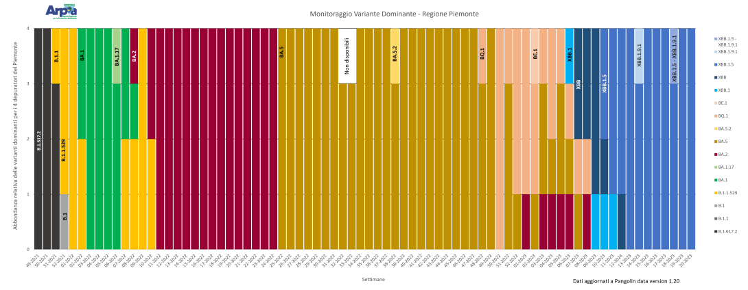 varianti dominanti 1 giugno 2023