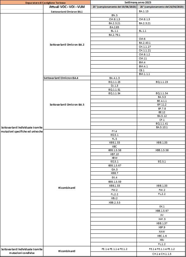 Depuratore Castiglione Torinese (TO) 14072023