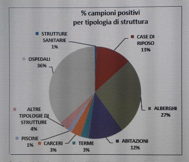 % di campioni positivi per tipologia di struttura (anno 2019)