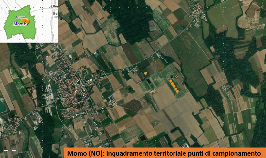 I punti di campionamento nei paesi interessati dallo spandimento dei gessi di defecazione della WTE S.r.l.