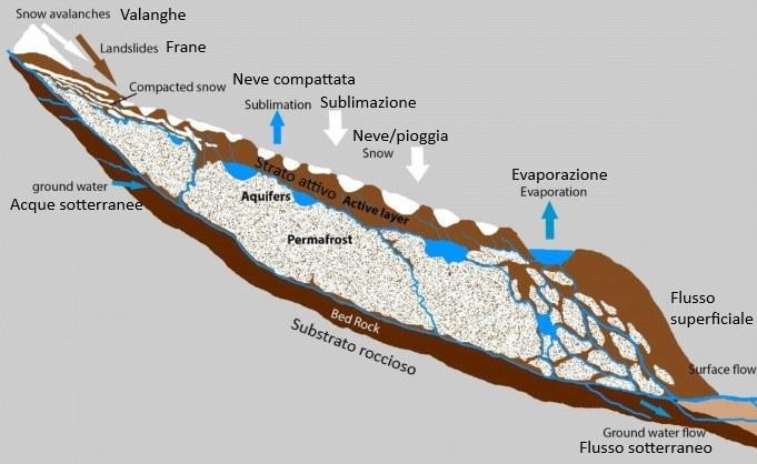 Sezione schematica di un rock glacier (Schaffer et al., 2019, modificato). In questa immagine è possibile osservare la complessità dell’acquifero costituito da detriti di diverse dimensioni (da ciclopici, in superficie, a sabbioso-limosi, più in profondità) all’interno del quale l’acqua si trova sia allo stato liquido che solido. La riserva di acqua solida è in genere conservata come ghiaccio interstiziale all’interno del permafrost.