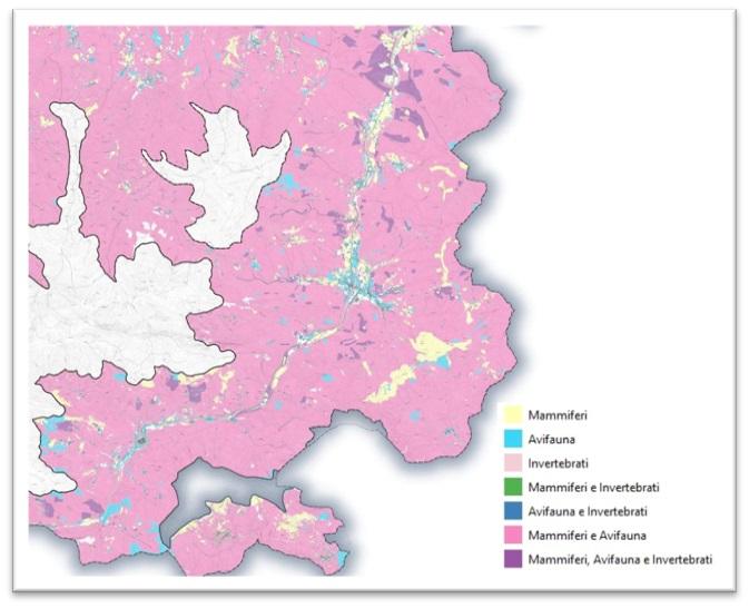Figura 5: Aree di Valore ecologico per la fauna