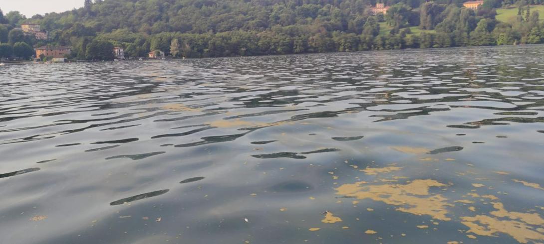 Concentrazione di alghe a centro Lago (16/07/2024)