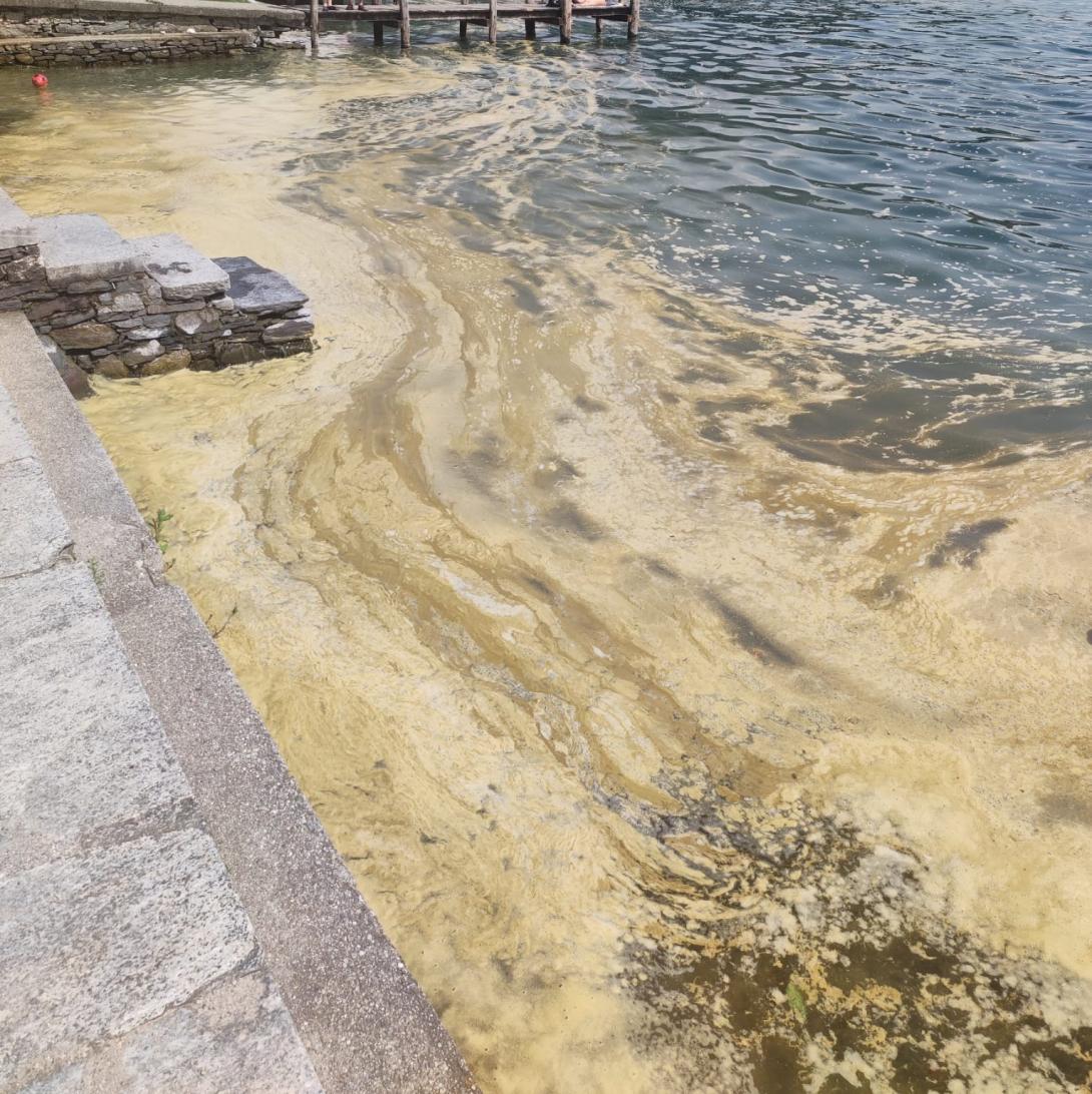 Schiume in prossimità della spiaggia di Ortello (segnalazione Legambiente del 14/07/2024)