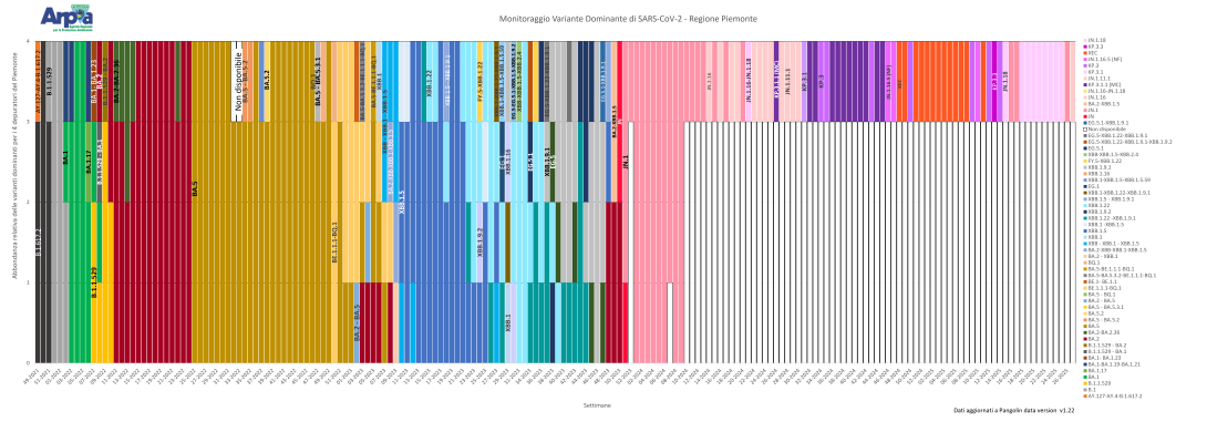 Andamento delle varianti di SARS-CoV-2 dominanti in Piemonte fino a maggio e giugno 2025