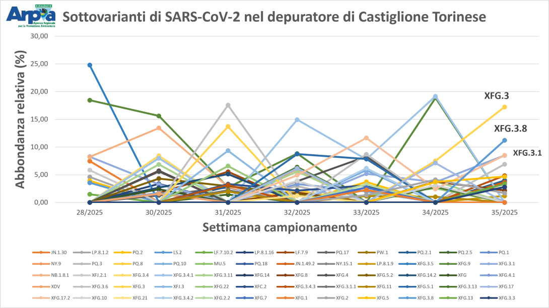 Sottovarianti di Omicron e loro abbondanza relativa per il depuratore di Castiglione Torinese a luglio e agosto 2025
