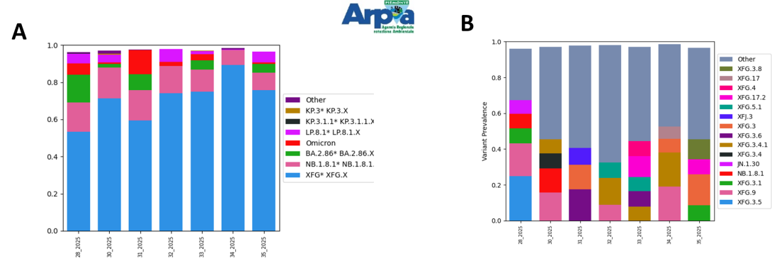 Sottovarianti di Omicron e loro abbondanza relativa per il depuratore di Castiglione Torinese a luglio e agosto 2025. A) Grafico a barre dei sotto-lignaggi raggruppati per macro-lignaggio. B) Grafico a barre delle specifiche sottovarianti