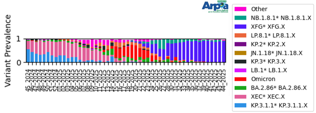 Abbondanza relativa dei macro-lignaggi per il depuratore di Castiglione Torinese da settembre 2024 ad ottobre 2025
