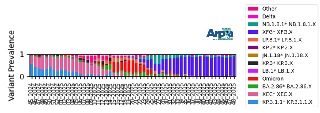 L’andamento dei macro-lignaggi per il depuratore di Castiglione Torinese da settembre 2024 a novembre 2025