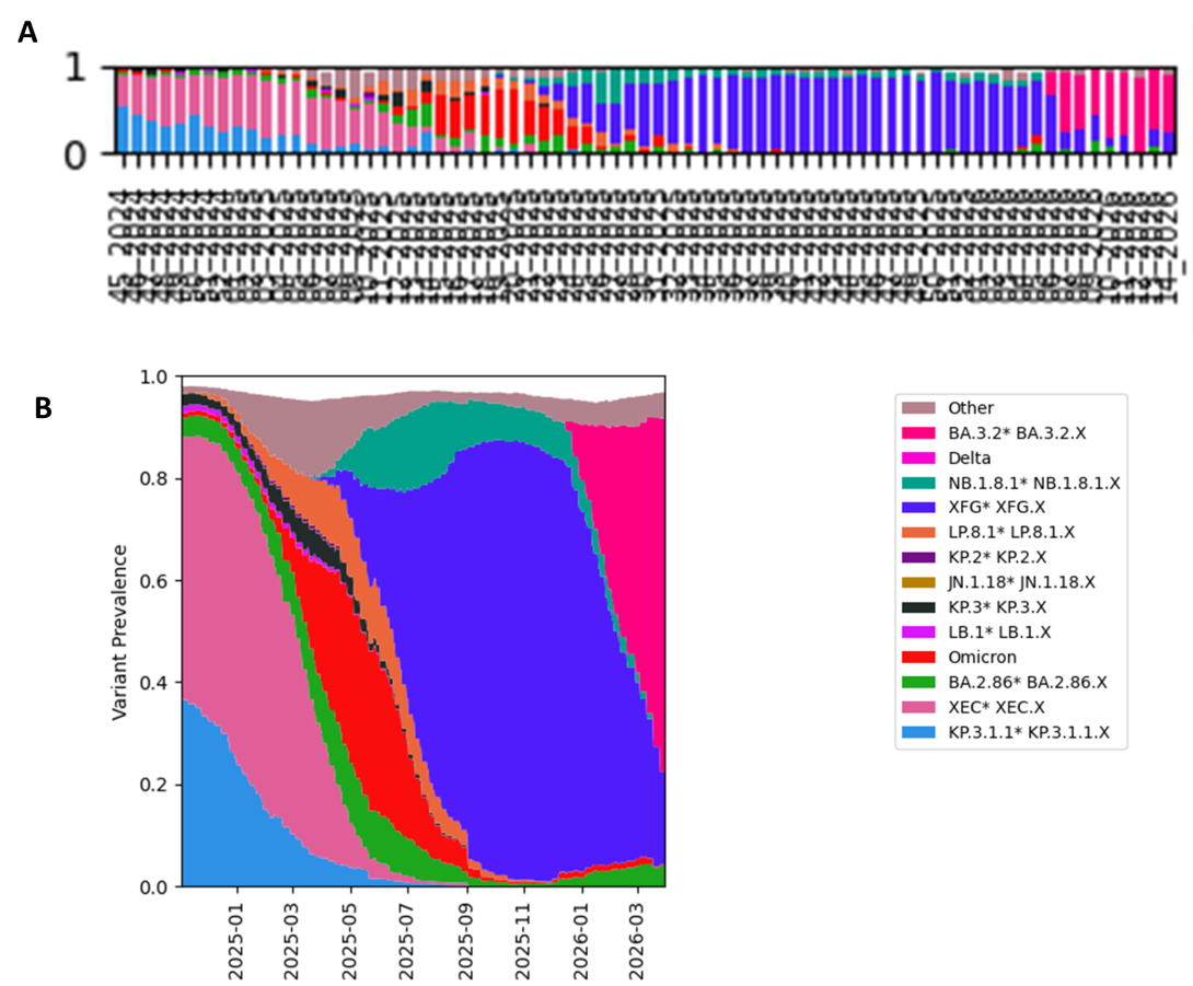 Abbondanza relativa dei macro-lignaggi per il depuratore di Castiglione Torinese da settembre 2024 a marzo 2026. A) Grafico a barre dei risultati di tutte le settimane; B) Grafico dei risultati raggruppati. La legenda è la medesima per entrambi i grafici