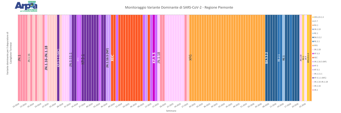 Figura 1. Varianti di SARS-CoV-2 dominanti a Castiglione Torinese fino a maggio-giugno 2026