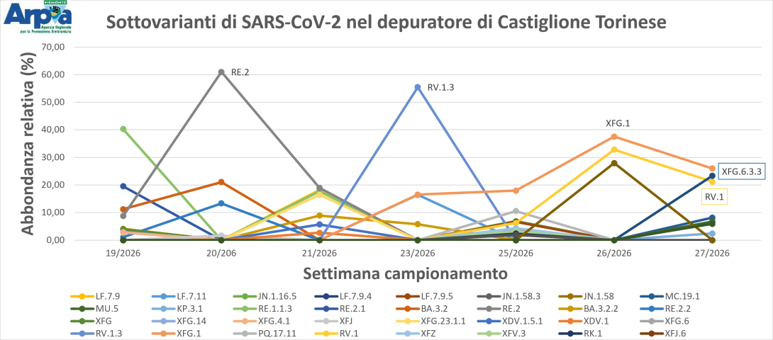 Figura 3. Sottovarianti di Omicron e la loro abbondanza relativa per il depuratore di Castiglione Torinese a maggio-giugno 2026.
