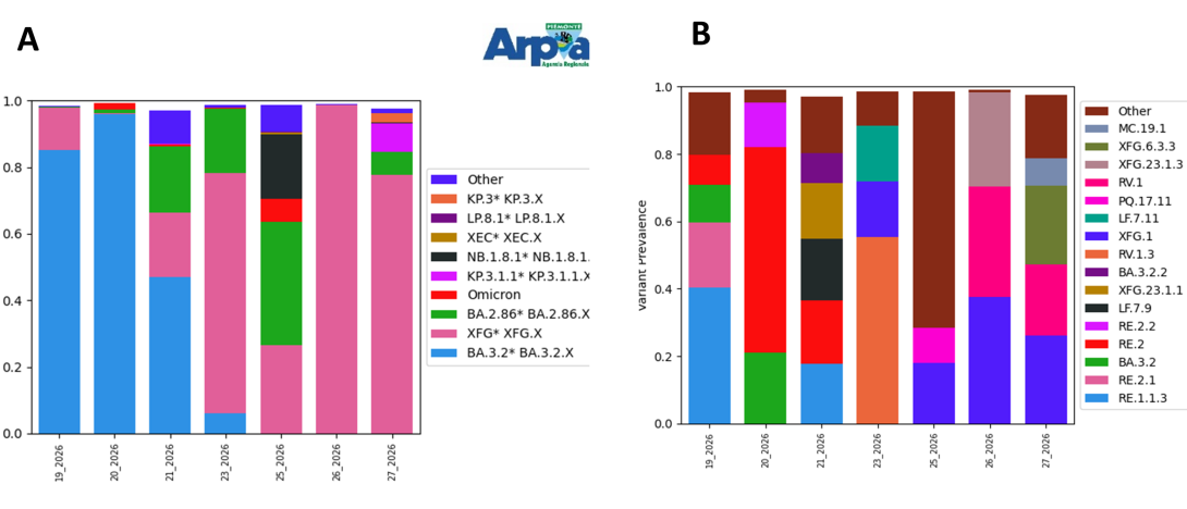 Figura 4. Sottovarianti di Omicron e la loro abbondanza relativa per il depuratore di Castiglione Torinese a maggio-giugno 2026. A) Grafico a barre dei sotto-lignaggi raggruppati per macro-lignaggio; B) Grafico a barre delle specifiche sottovarianti.