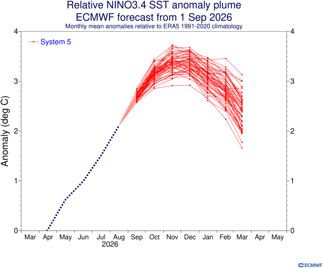 Previsione dell’indice Nino 3.4 elaborata dal Centro Meteorologico Europeo ECMWF (fonte ECMWF)